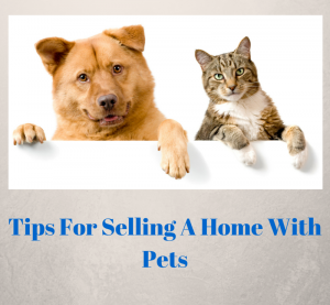 4 Most Valuable Home Selling Tips for Pet Owners
